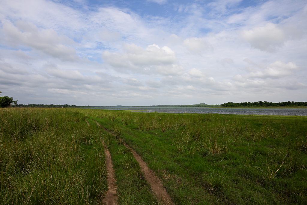 safari zones in tadoba