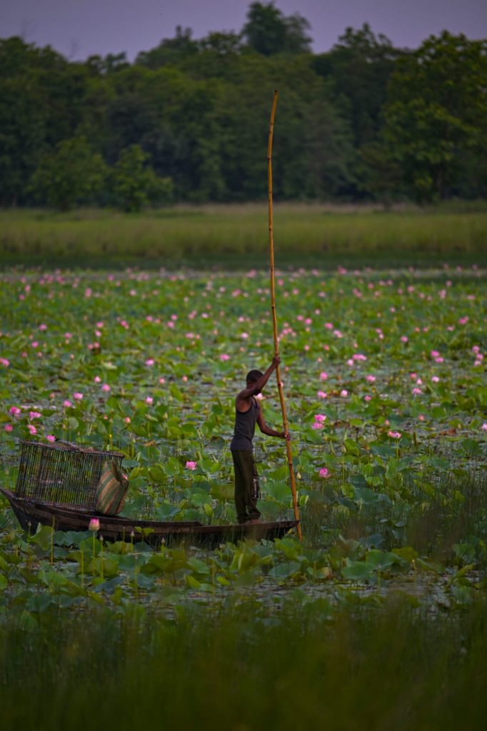 More about Tadoba National Park