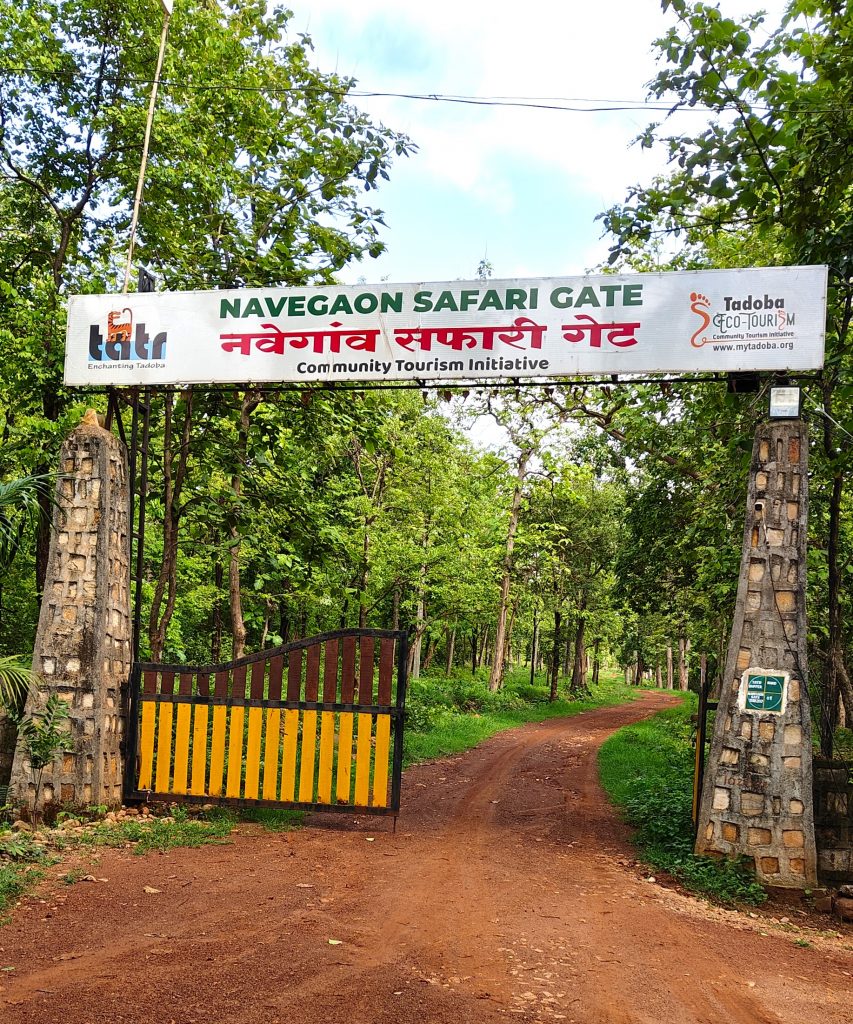 safari zones in tadoba