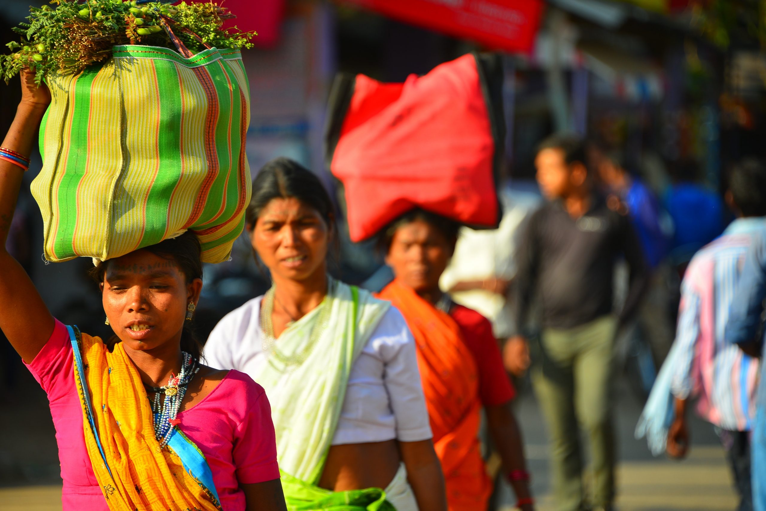 tribes of tadoba