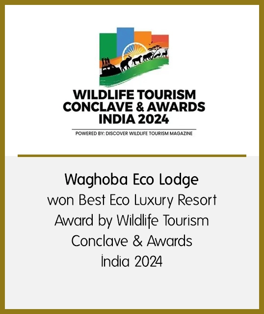 Awards in Tadoba