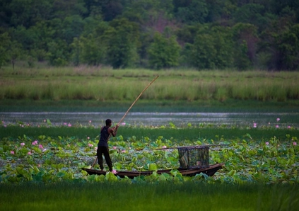 activities in tadoba